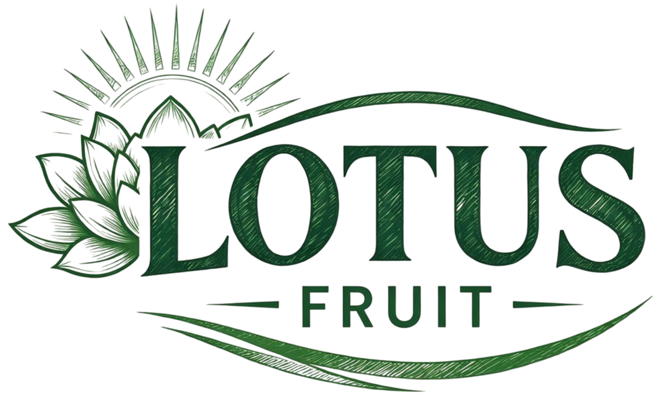 Lotus Fruit
